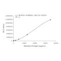 Recombinant NT-proBNP Antibody