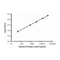 Recombinant Troponin I/TNNI3 Antibody