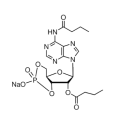 N⁶,2′-O-二丁酰基腺苷3′,5′-环磷酸 钠盐