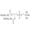 二肉豆蔻酰磷脂酰胆碱（DMPC）