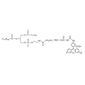 DSPE PEG Fluorescein, DSPE-PEG-FITC