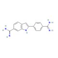 DAPI
