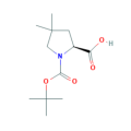(2S)-1-[(叔-丁氧基)羰基]-4,4-二甲基吡咯烷-2-羧酸