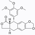 Deoxypodophyllotoxin