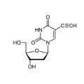5-乙炔基-2'-脱氧尿苷(EdU)