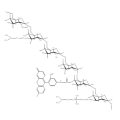 FITC-DEAE-葡聚糖