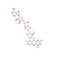 腺嘌呤黄素二核苷酸(FAD)