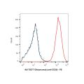 Ofatumumab (anti-CD20)