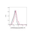 Monalizumab (anti-NKG2A)