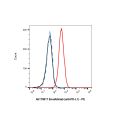 Envafolimab (anti-PD-L1)