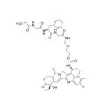 GGFG-amide-glycol-amide-Exatecan