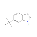 6-(叔丁基)-1H-吲哚