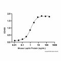 Recombinant Mouse Leptin Protein