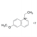 6-甲氧基-N-乙基喹啉碘化物