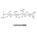 甲基丙烯酸酯化结冷胶（GGMA）