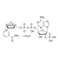 β-烟酰胺腺嘌呤二核苷酸磷酸(NADP)水合物