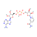 β-烟酰胺腺嘌呤二核苷酸（NAD）