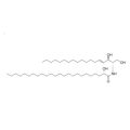 C24 (2'(S)-hydroxy) Ceramide (d18:1/24:0)