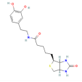 N-生物素多巴胺