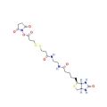 NHS-SS-(+)-Biotin