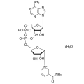 β-烟酰胺腺嘌呤二核苷酸（NAD）