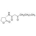 N-(3-氧代十二烷酰基)-L-高丝氨酸内酯