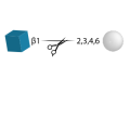 N-Acetylglucosaminidase