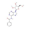 N6-苯甲酰-2'-甲氧基腺苷