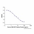 Recombinant Human GM-CSF R alpha Protein