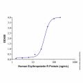Recombinant Human Erythropoietin R Protein