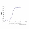 Recombinant Human IL-21R Protein