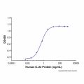 Recombinant Human IL-22 Protein