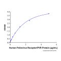 Recombinant Human Poliovirus Receptor/PVR Protein