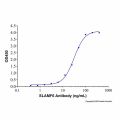 Recombinant Human NTB-A/SLAMF6 Protein
