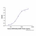 Recombinant Human IGSF4A/SynCAM1 Protein