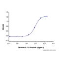 Recombinant Human IL-15 Protein