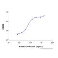 Recombinant Human IL-4 Protein