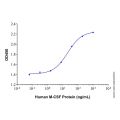 Recombinant Human M-CSF Protein