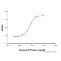 Recombinant Human LIF Protein