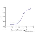 Recombinant Human IL-18 Protein