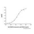 Recombinant Human Siglec-2/CD22 Protein