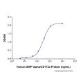 Recombinant Human CD47 Protein