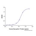 Recombinant Human Neuropilin-1 Protei