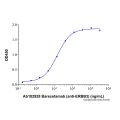 Recombinant Human ErbB3/HER3 Protein