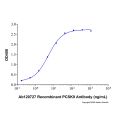 Recombinant Human Convertase 9/PCSK9 Protein