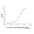 Recombinant Human Oncostatin M/OSM Protein