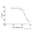 Recombinant Human Lipocalin-2/NGAL Protein