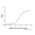 Recombinant Human CD7 Protein