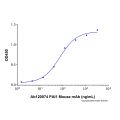 Recombinant Human Serpin E1/PAI-1 Protein