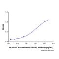 Recombinant Human IGFBP-rp1/IGFBP-7 Protein